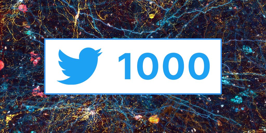 PasinduSW's tweet image. 1000 Followers on Twitter!!! 🎉 
Thank you everyone for following me 😊
#ThankYou