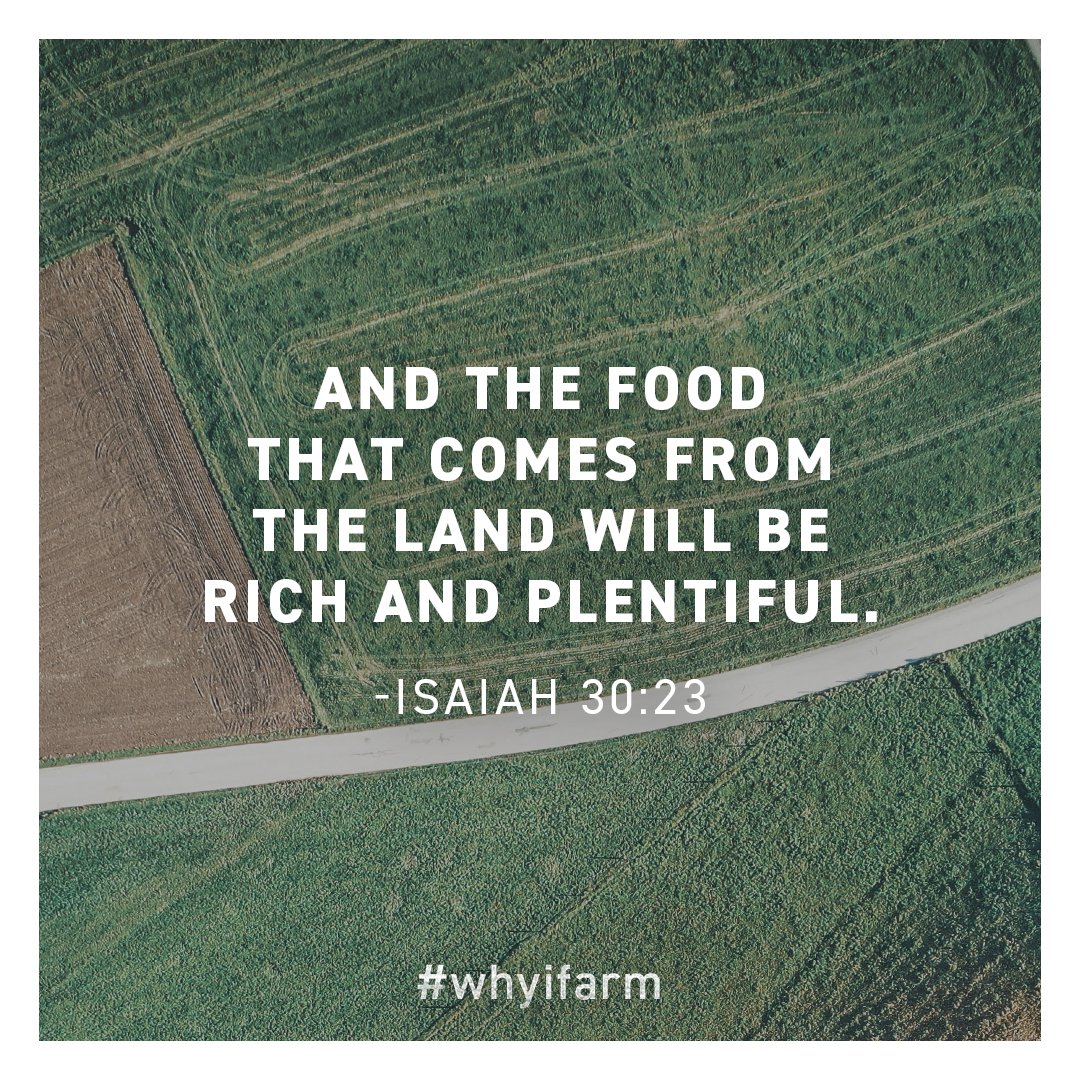 Oh the bountiful blessings that come from farming… #whyifarm