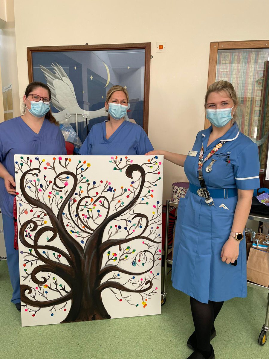 Lovely ward Midwives decorating the tree #IDM2021 <a href="/bornatthepaget/">Born at the Paget</a> <a href="/JamesPagetNHS/">JPUH NHS FT</a>