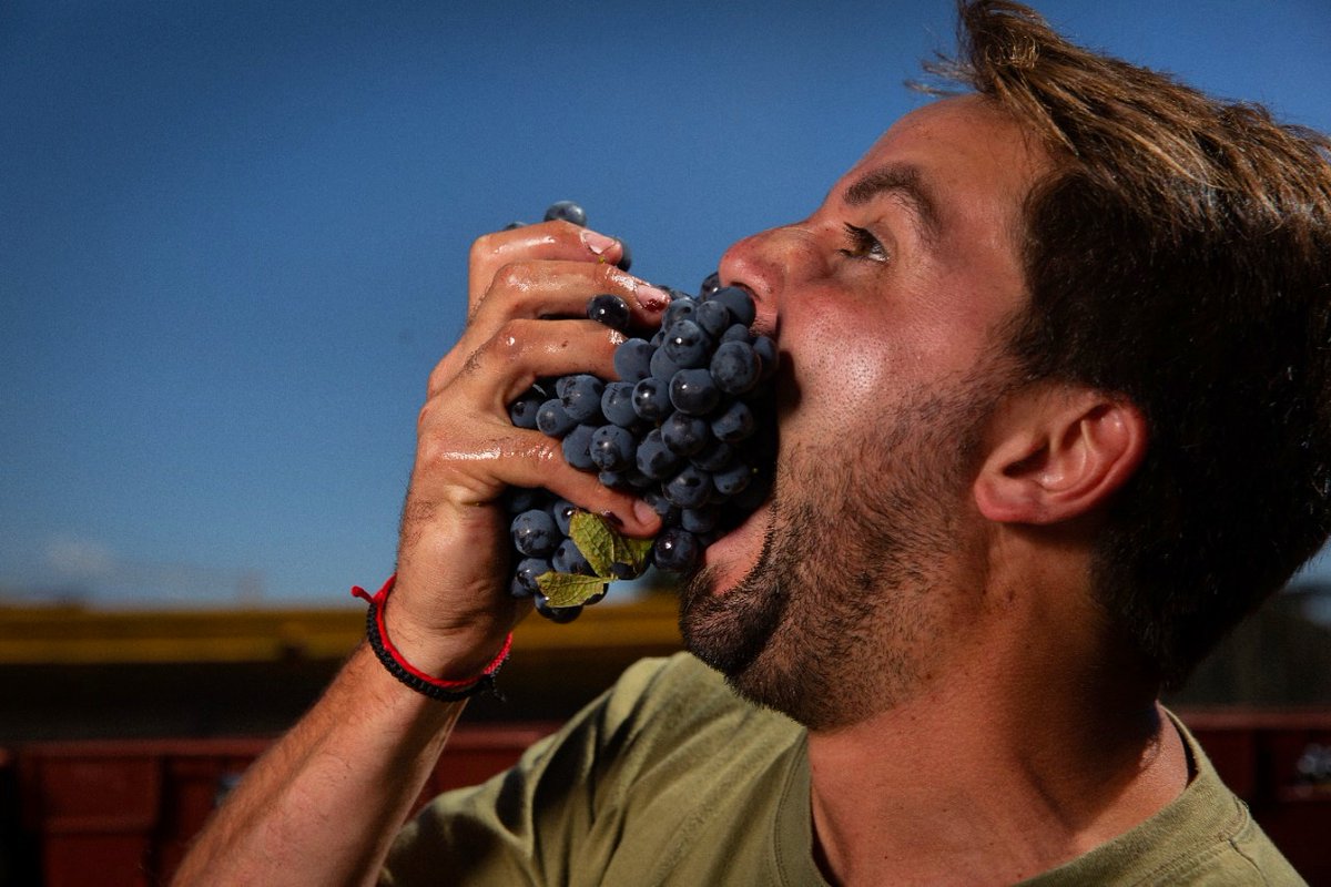 Escala Humana Wines tweet media