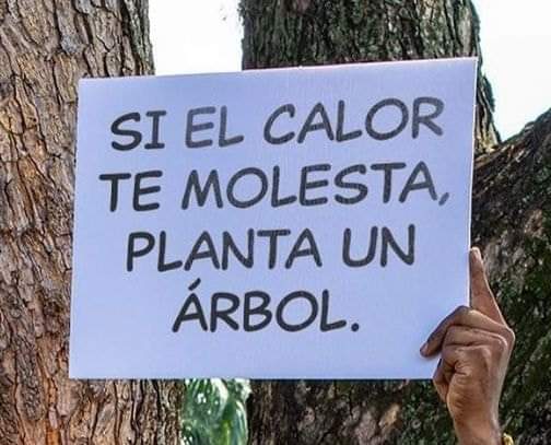 institutomex's tweet photo. Ojalá se comprenda...

I.M. Uruapan. https://t.co/oxtnevXnOb