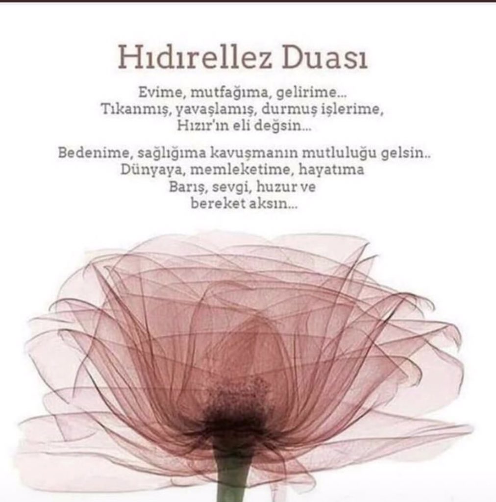 Emine Kılıç (@emosteacher) on Twitter photo 