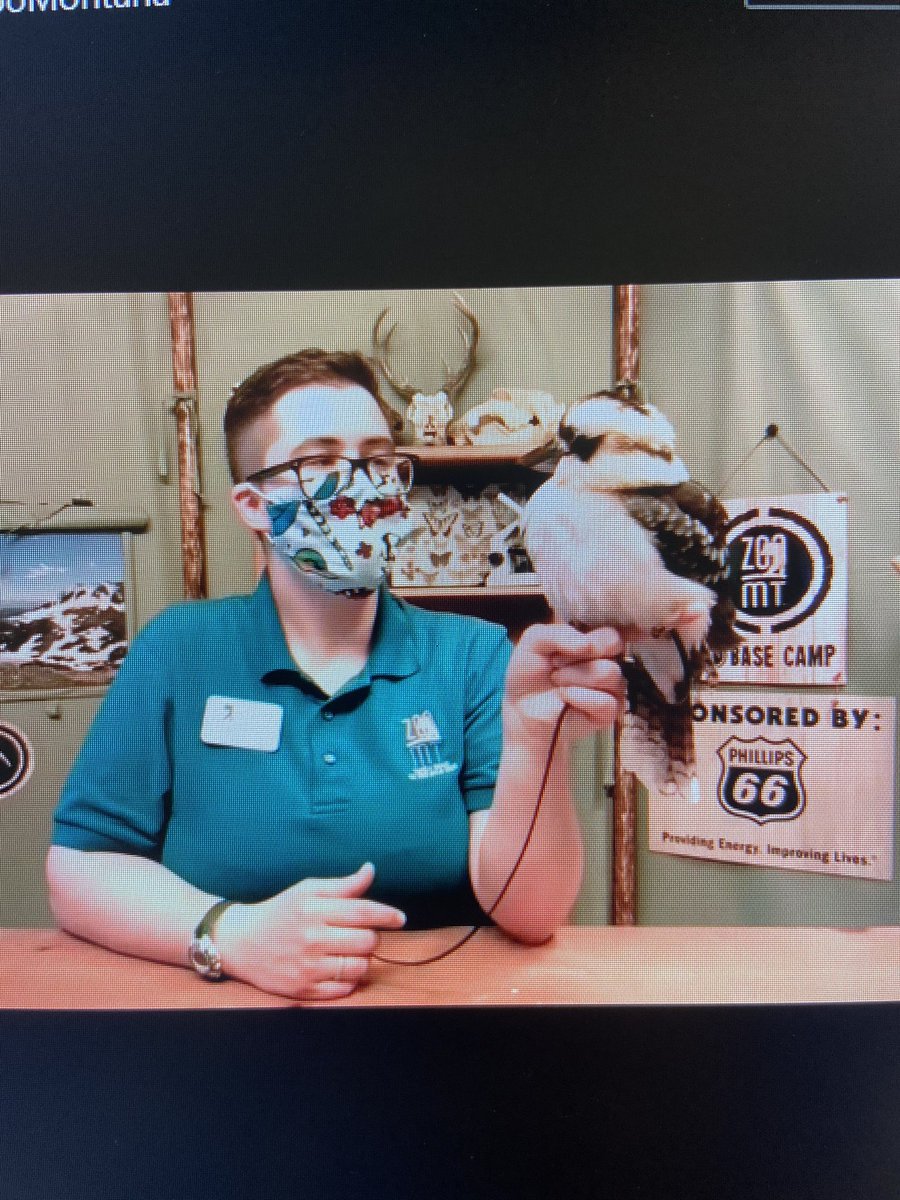 Alexs Stapp (@astapp_cb) on Twitter photo Such a fun afternoon thanks to <a href="/FlipgridEvents/">Flip Events</a> and @ZooMontana We loved learning about so many cool animals and their adaptations! Such a fun afternoon thanks to <a href="/FlipgridEvents/">Flip Events</a> and @ZooMontana We loved learning about so many cool animals and their adaptations!