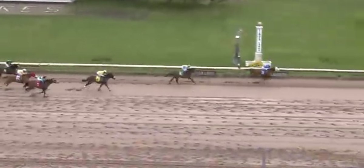 LindaRiceRacing's tweet photo. Blues City scores at Finger Lakes. Congrats to Rising Graph Stables  and thank you to Oscar Gomez! https://t.co/TvW5GXLCJ9