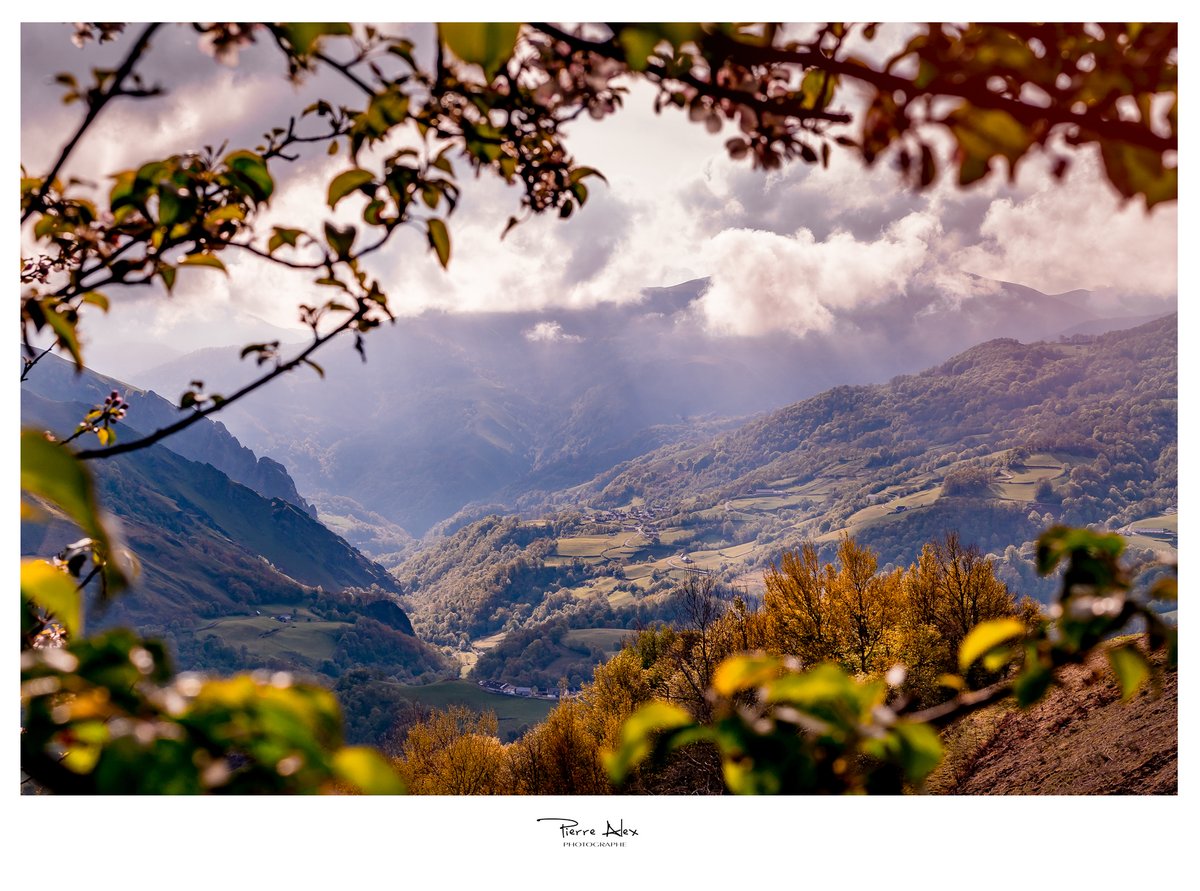 PierreAlex tweet media