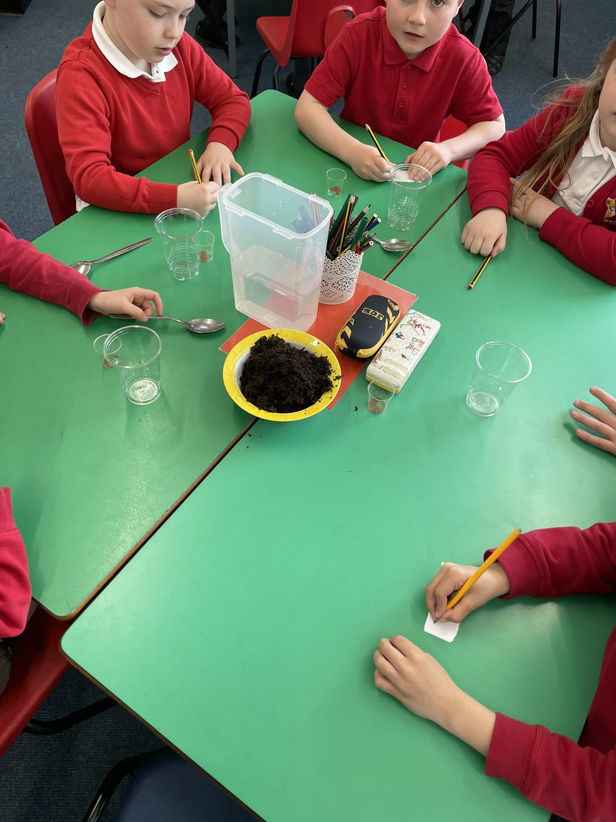 Miss Mozley-Year 3🌟 tweet media