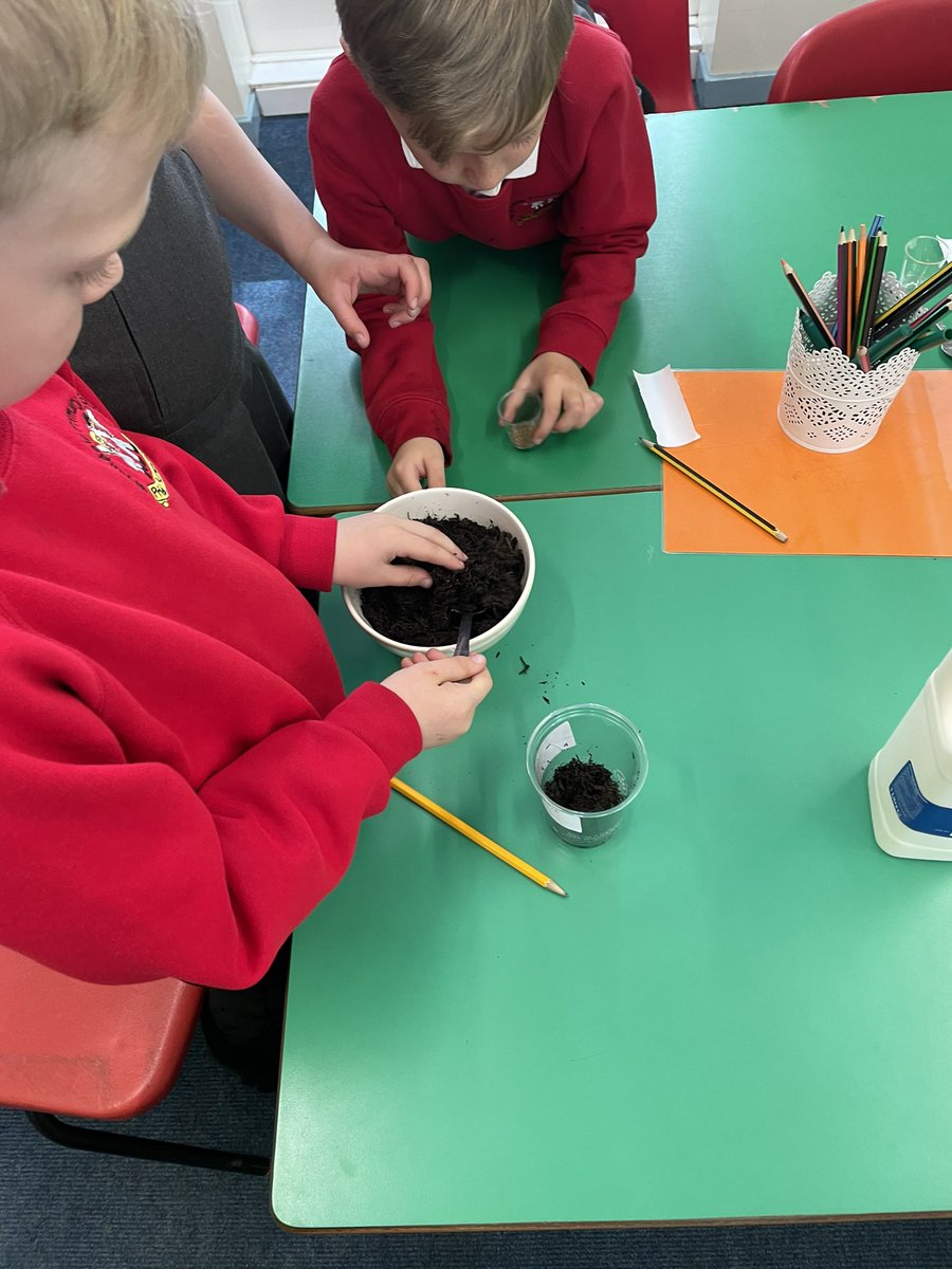 Miss Mozley-Year 3🌟 tweet media