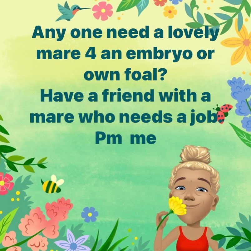 Want a lovely foal next year? ...