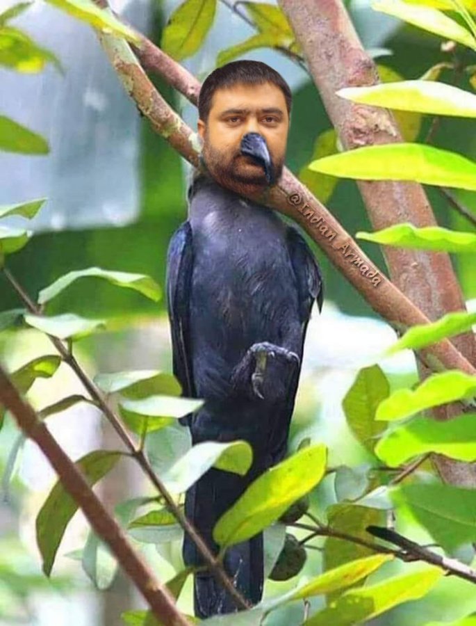 Atmanirbhar420's tweet photo. @absolutesatya https://t.co/S2TO6xMn6G