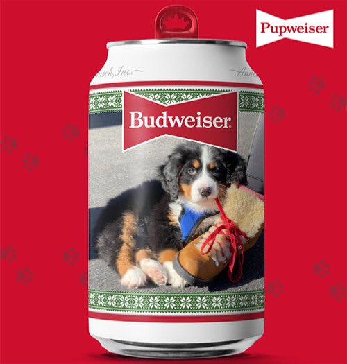 betsynilan's tweet image. Budweiser drinkers will like this can as much as Charlie likes the boot. #PupweiserContest @budweiserusa