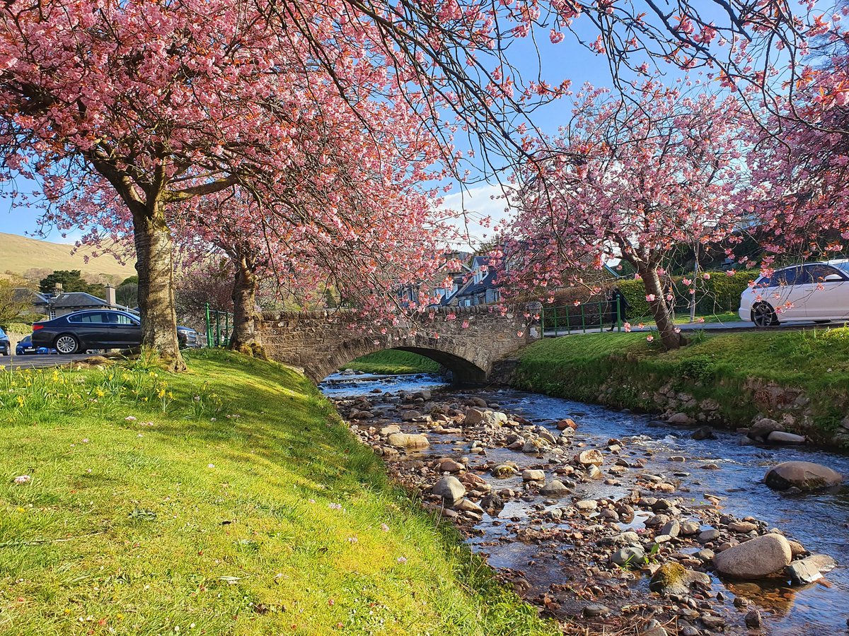 Richard Millar (@millarrichard) on Twitter photo A communities vision to celebrate the #QueensCorination, still bringing spring vibrancy & happiness to the heart of the village of #Dollar <a href="/DiscoverClacks/">DiscoverClacks</a> <a href="/VisitScotland/">VisitScotland</a> <a href="/nature_scot/">Former NatureScot account</a> A communities vision to celebrate the #QueensCorination, still bringing spring vibrancy & happiness to the heart of the village of #Dollar <a href="/DiscoverClacks/">DiscoverClacks</a> <a href="/VisitScotland/">VisitScotland</a> <a href="/nature_scot/">Former NatureScot account</a>