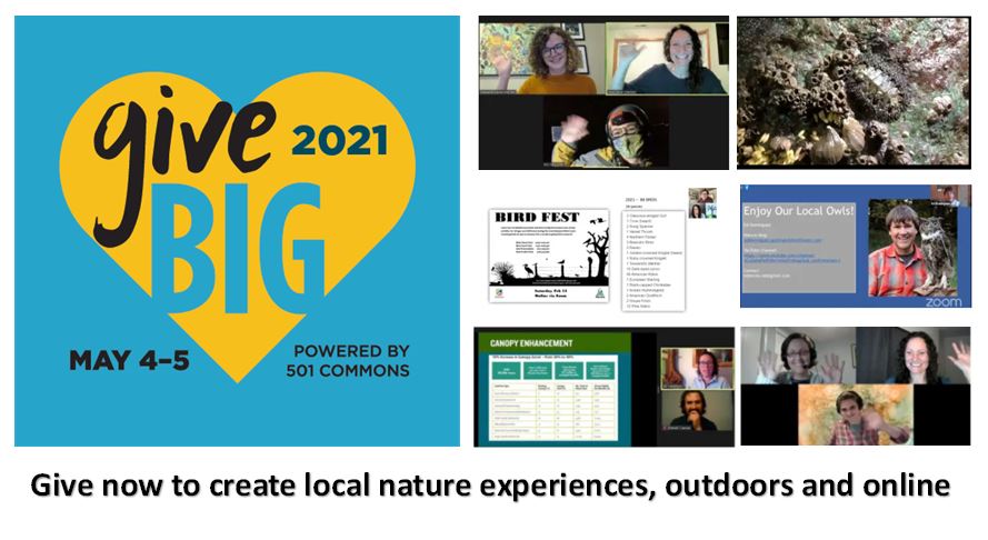 From outdoors to online, folks still connected with nature through our programs. In fall and winter, 442 people attended LIVE, and hundreds are watching replays. Next up are Beach Walks, Nat Chats, and Bird Counts and you can support more with #GiveBIG! givebigwa.org/environmental-…