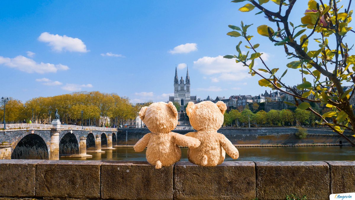 Teddy bear in love ❤️ #Angers #photomontage