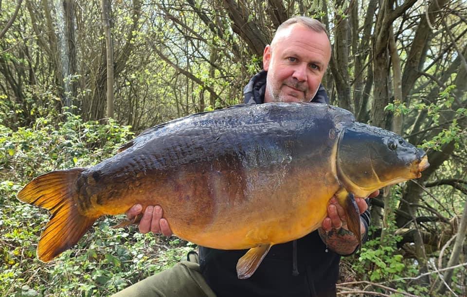 jhbaits's tweet photo. an Saddington managed to squeeze in another 24 hrs on his syndicate with another fantastic result in the form of this 35lb+ Mirror! Ian fished a Banana Scopex snowman with matching freebies, mixed with carbon baits buckwheat maize.

https://t.co/aJ6fYjRj1d

#jhbaits https://t.co/BknbCGbVkU