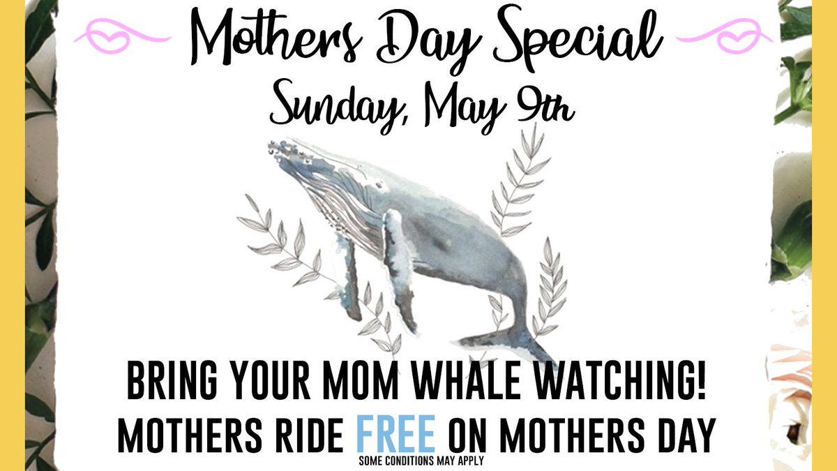 Mother’s Day - Celebrate Mother's day with the mother of all adventures, and also your mother. CALL TO BOOK 1.888.383.4884 👩1 mother per party of 2 - 1:1 mom ratio 📅 Not available with any other discounts or promotions 🐋 Conservation Fee to be applied ☀️ For new bookings only