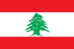 tw // covid, death, bombings 

SHORT VERSION: a more concise thread of what’s happening in lebanon bc no one talks about them, please educate yourselves and rt to spread awareness