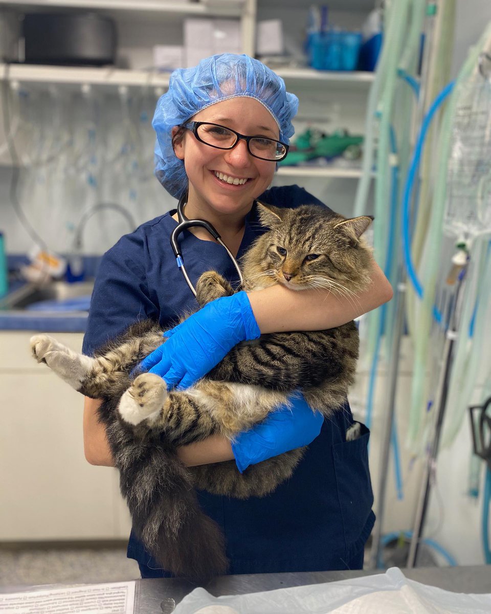 Victoria Harris, a current <a href="/UFVetMed/">UFVetMed</a> student, gave the CALS commencement address in 2019! "I'm grateful for my CALS friends and mentors and hope they realize how much I appreciated their help as a student.” Read more about our CALS commencement speakers ⏩ow.ly/U9U450EEBZd