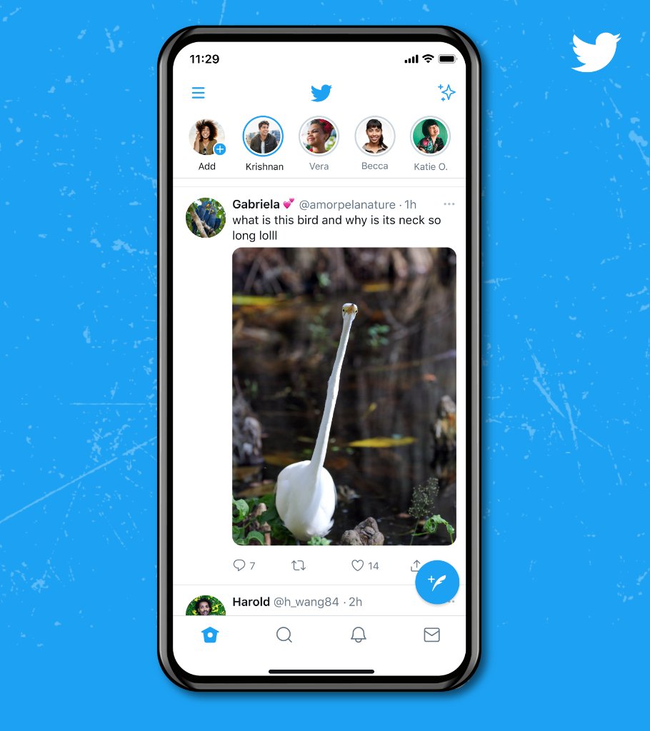 A timeline that shows the same Tweet with a full length image of the tall bird and the same copy. Multi-image Tweets will remain the same –– this change is only for Tweets that include one image with a standard aspect ratio.