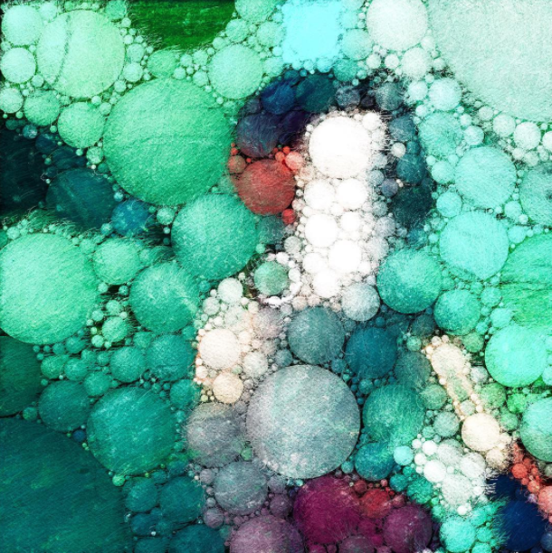 Adam Fryda tweet media