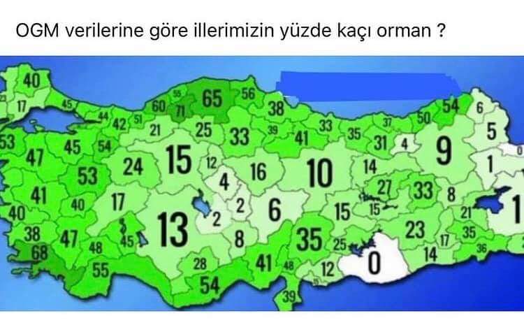 Daha çooook ağaç ekmemiz gerekiyor .!!!