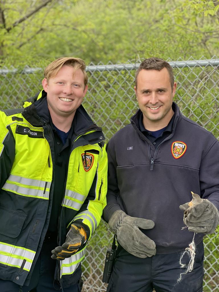NoviVillageOaks's tweet photo. We applaud our #novifire dept. for saving a trapped bird near our playground! 👏👏🏽👏🏿! #Novitogether!#VOHEART! https://t.co/I0s91zj6Dc