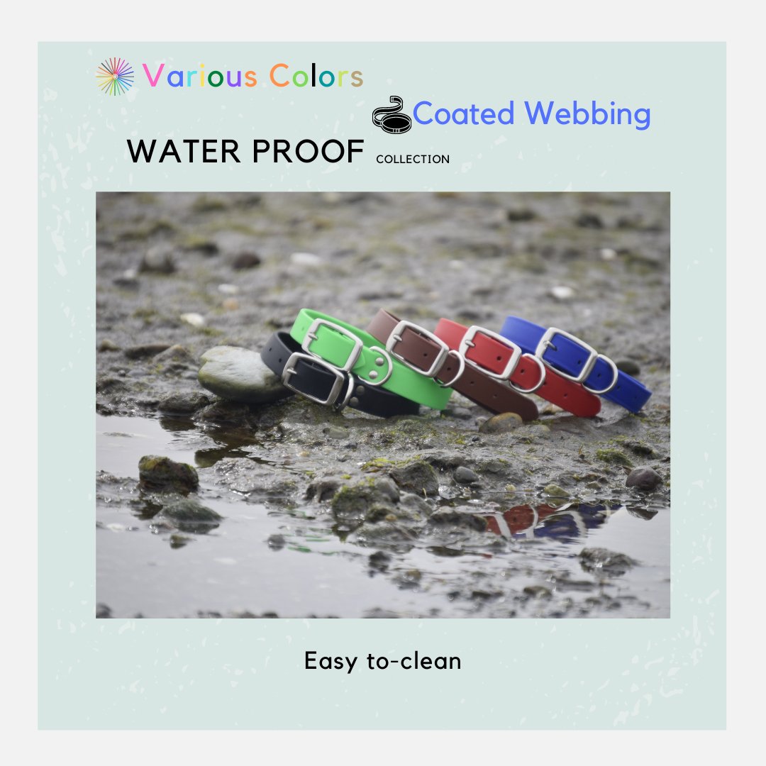 We are featuring the Water Proof collars, which are made out of coated webbing. It does not absorb foul fluids and is scent-free. Different colors are available. 
⁠.⁠
.⁠
.⁠

#dogs #doglover #smallbusiness #business #ideas #custom #customleash #loveyourdog #leash