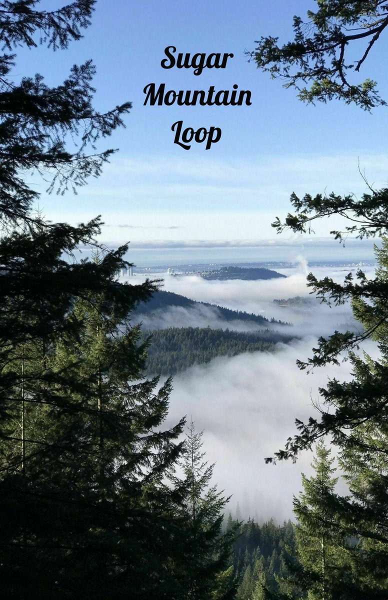Cloudy much? Locate within the Belcarra regional park, the Sugar Mountain Loop is a moderately trafficked loop trail located near Port Moody. Approximately 6 kilometers, this trail is rated as moderate, offering a beautiful view for a not so strenuous hike.