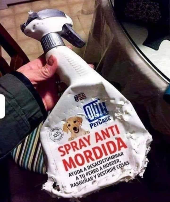 DavidMorgaOfici's tweet photo. 🤣🤣🤣🤣🤣 https://t.co/trNG3NXfsl