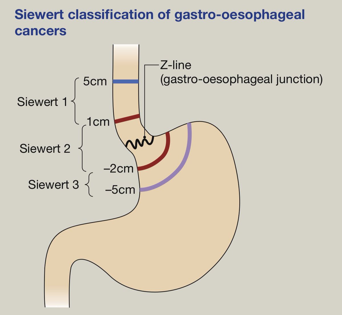 Keith Siau tweet media