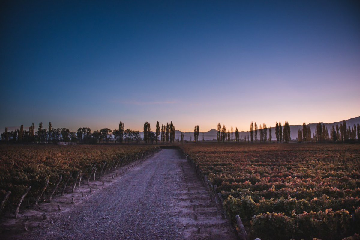 Les conté de #Mendoza y sus atardeceres en <a href="/BodegaA16/">Bodega A16</a>