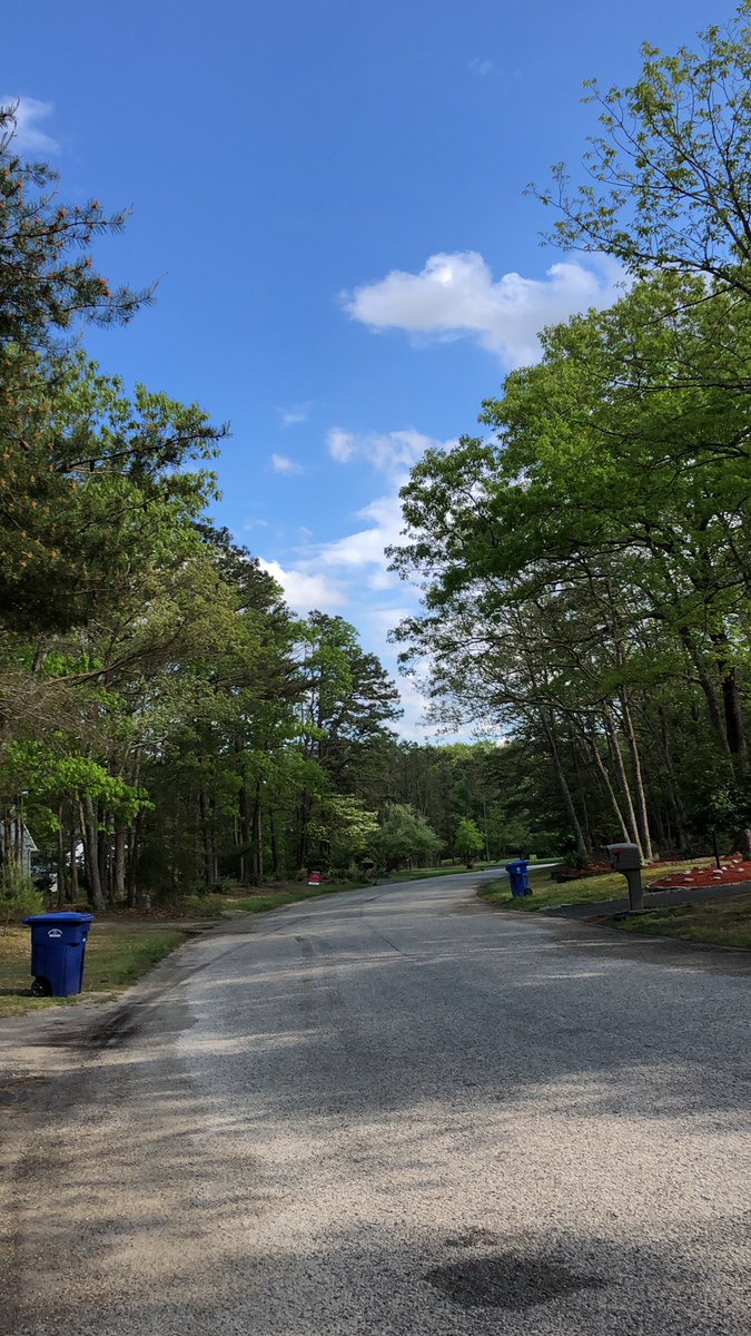 Rain is gone and the sun is out. Beautiful day for a run 🏃🏻‍♂️