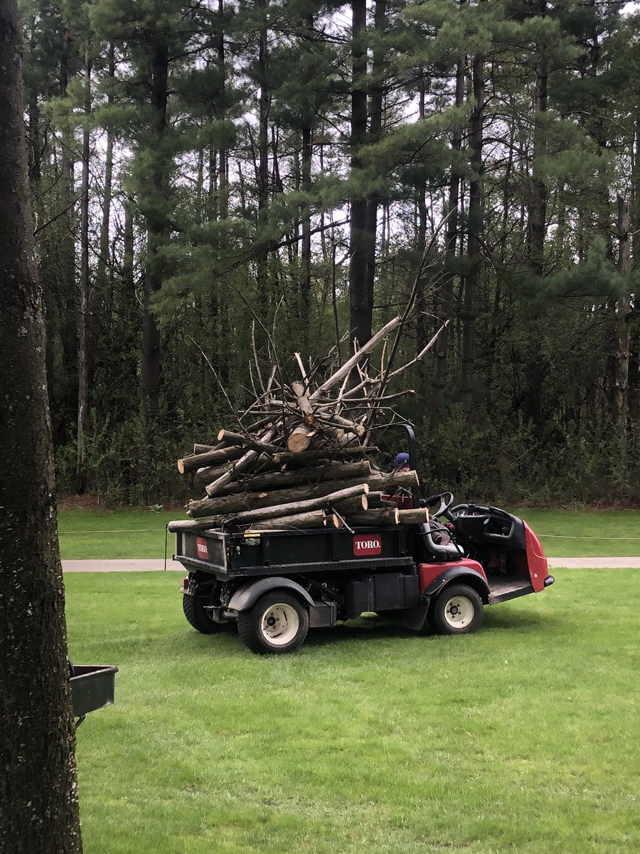 ryanarthur21's tweet image. 47 trees and counting... cleaning out a couple pine areas with fallen, leaning or dangerous trees #shutdownprojects #anotherburnpile