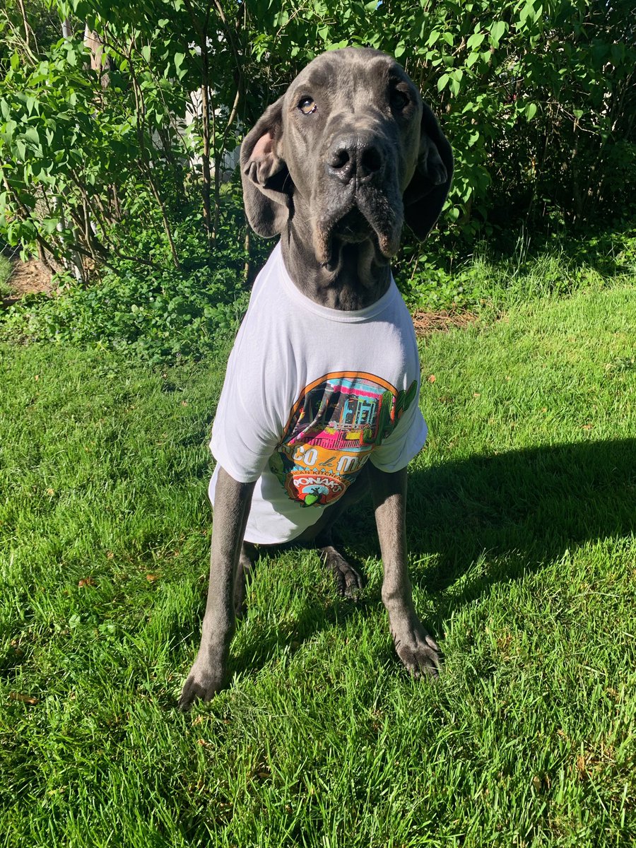 Can we go to Ponak’s yet? It’s Cinco De Mayo!