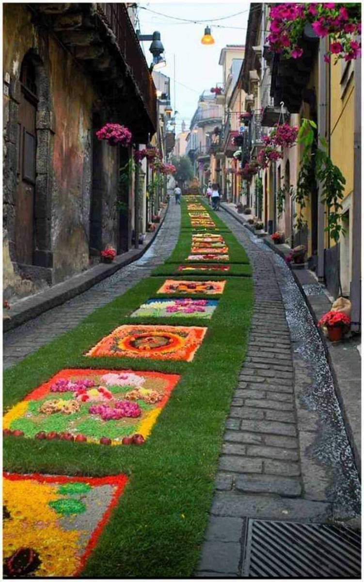 benimheidi's tweet photo. @Arzu39998773 Gelme ihtimalin olan Yolu çiçeklerle süsledim...
💙🕊🥰🙋🏼‍♀️🧿 https://t.co/cJzfu5yXuo