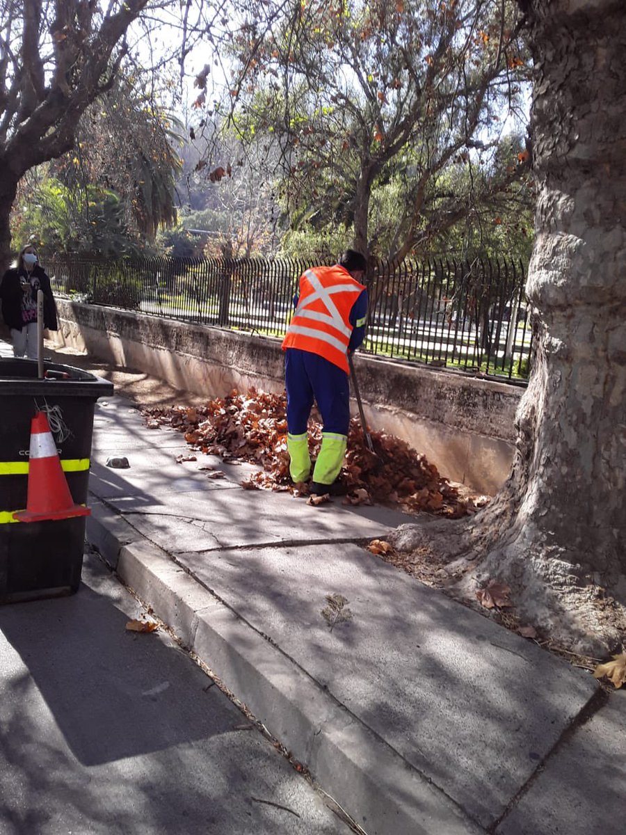 Limpieza de aceras en Avenida Los Castaños entre 1 y 7 norte. Labores desarrolladas durante la mañana de hoy