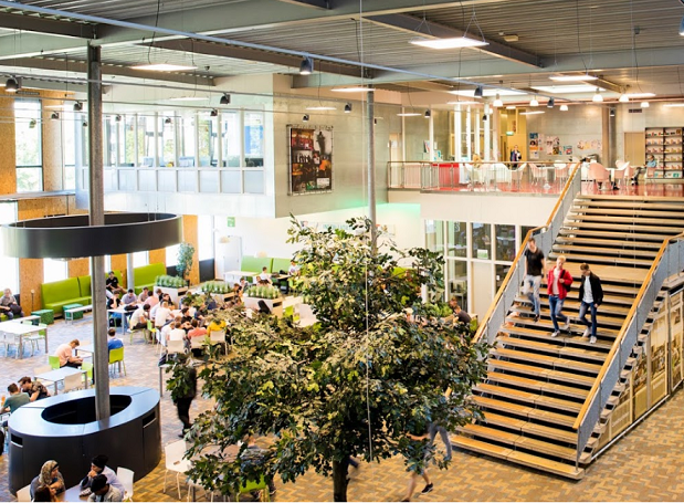 ROC Ter AA gaat de stOER (studiegids + onderwijs- en examenregeling) voor al hun opleidingen vastleggen in Educator, lees in onze blog meer over ROC Ter AA #Studiegids #OER #Educator
bit.ly/3eJwwCY