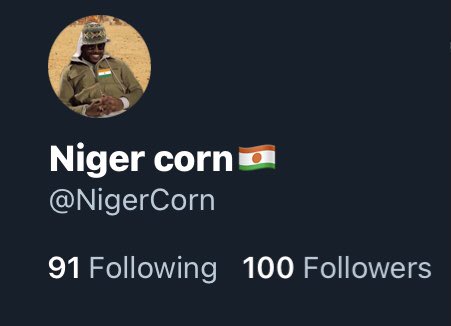 NigerCorn's tweet image. Pull up free drinks food everything on me I’ll even buy the plane tickets we vibing