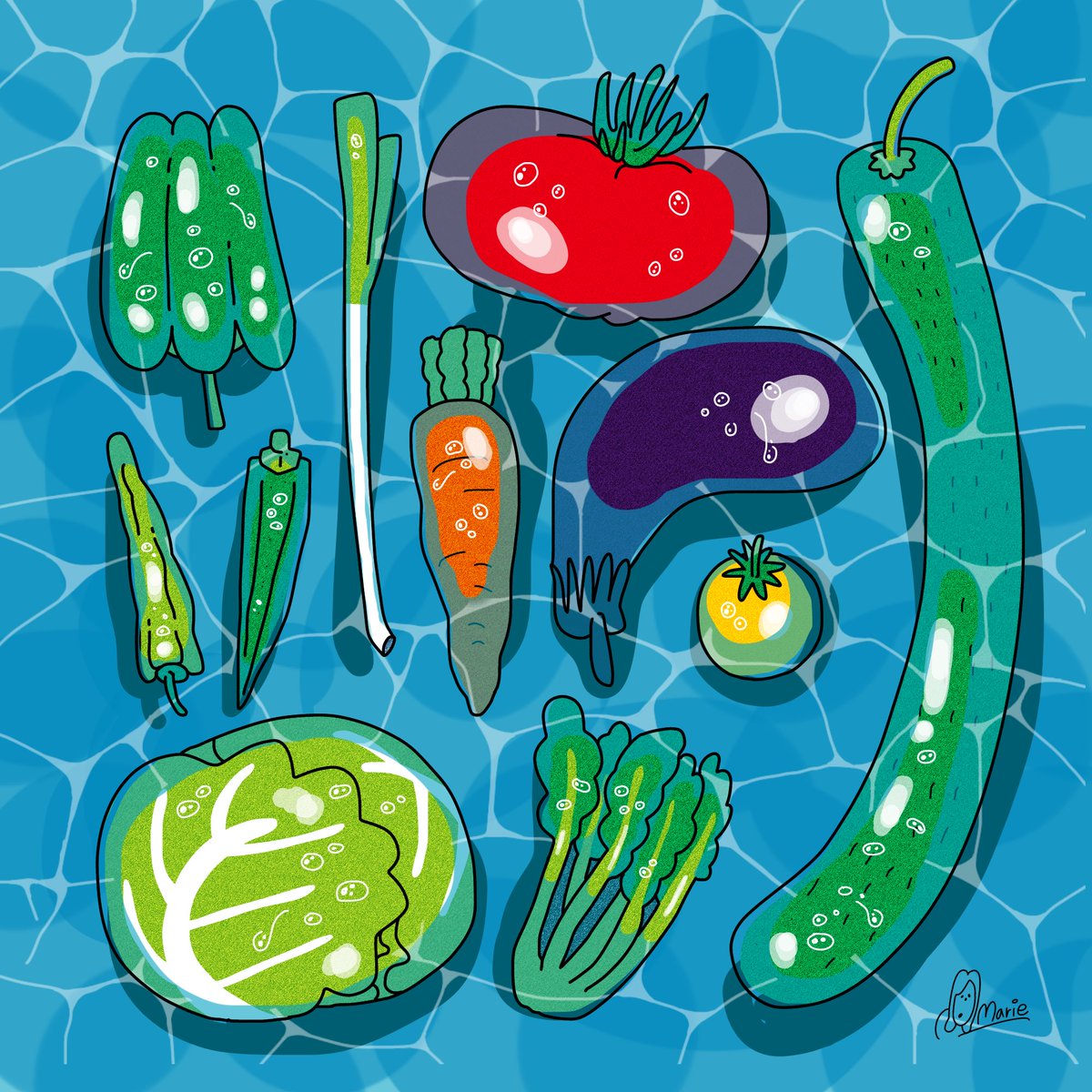 no humans eggplant tomato food vegetable carrot cucumber  illustration images