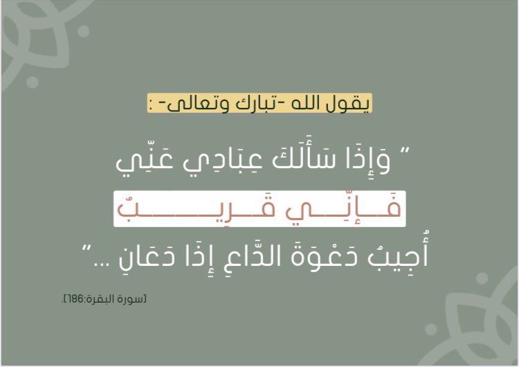 أفنان | Afnan tweet media