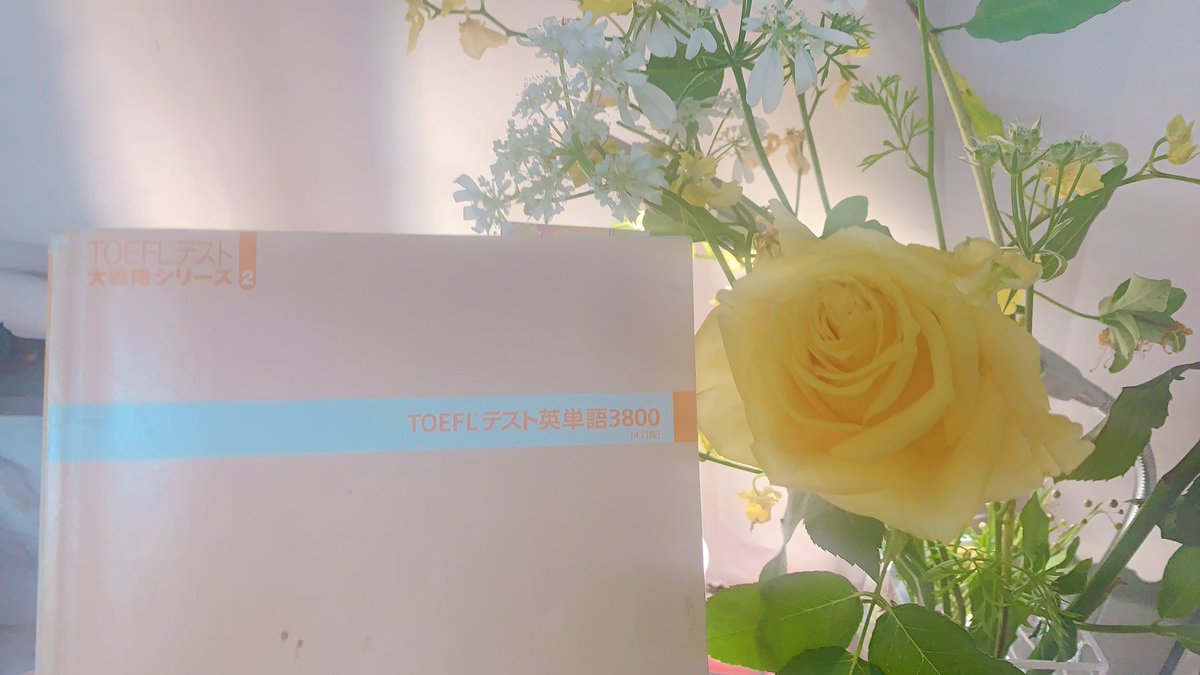 mk_o_1992's tweet photo. over slept this morning🙀💧GW holidays are over!! I learned many things during the holiday. and my kids are relaxed a lot!! 
i skipped some of my routines.. so i'll stard again💪i have to remember English words for TOEFL!! https://t.co/ezxEzUfF14