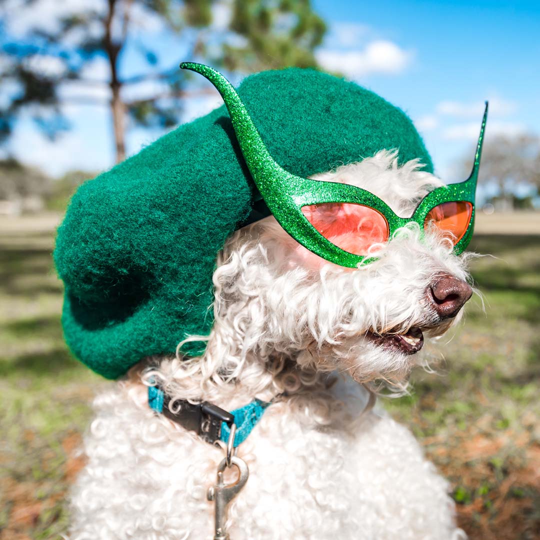 You do you. All. The. Way.
#CaptionMate #CallsYouCanSee