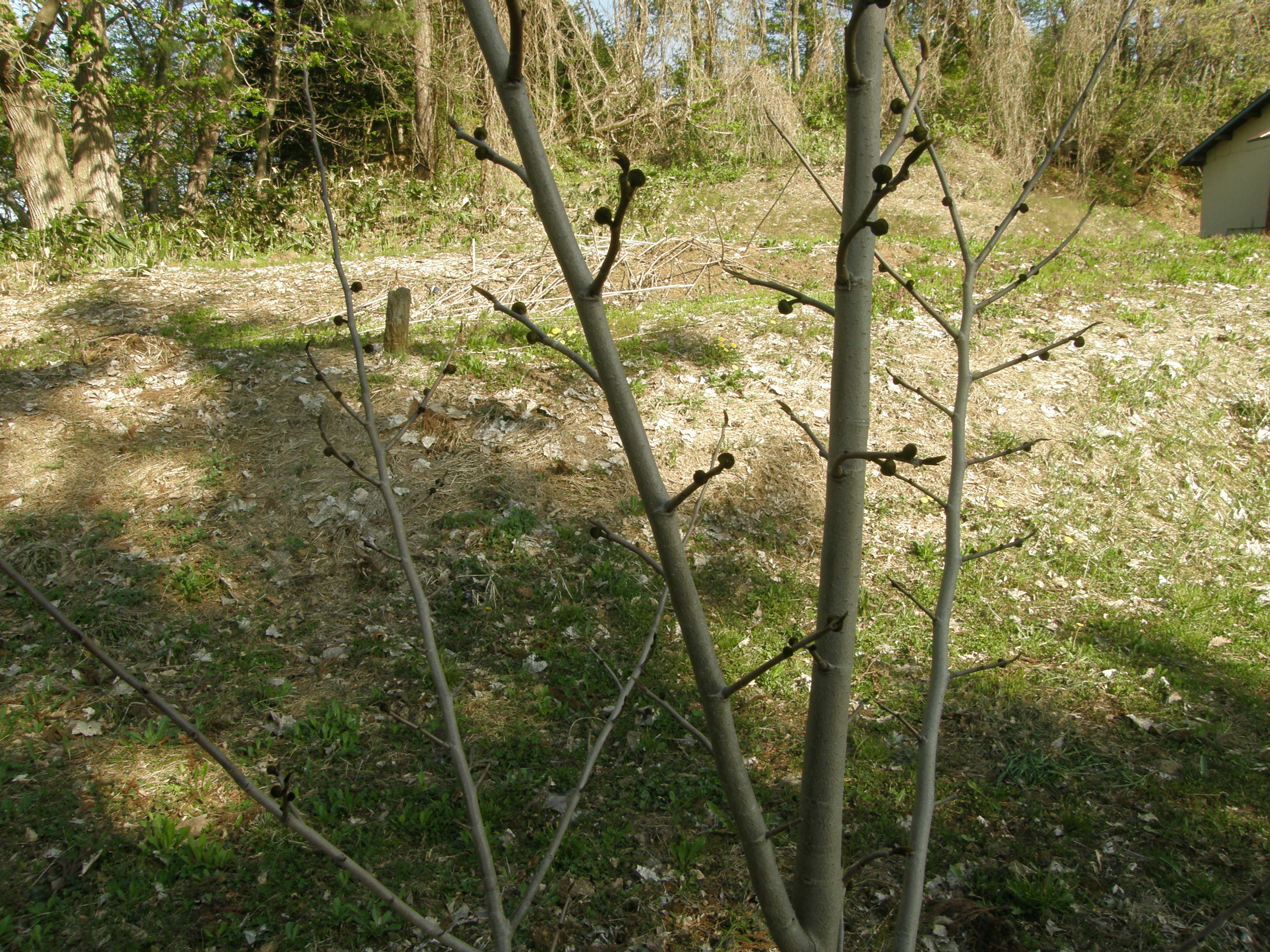 工藤清光 Kkudo1947 Twitter