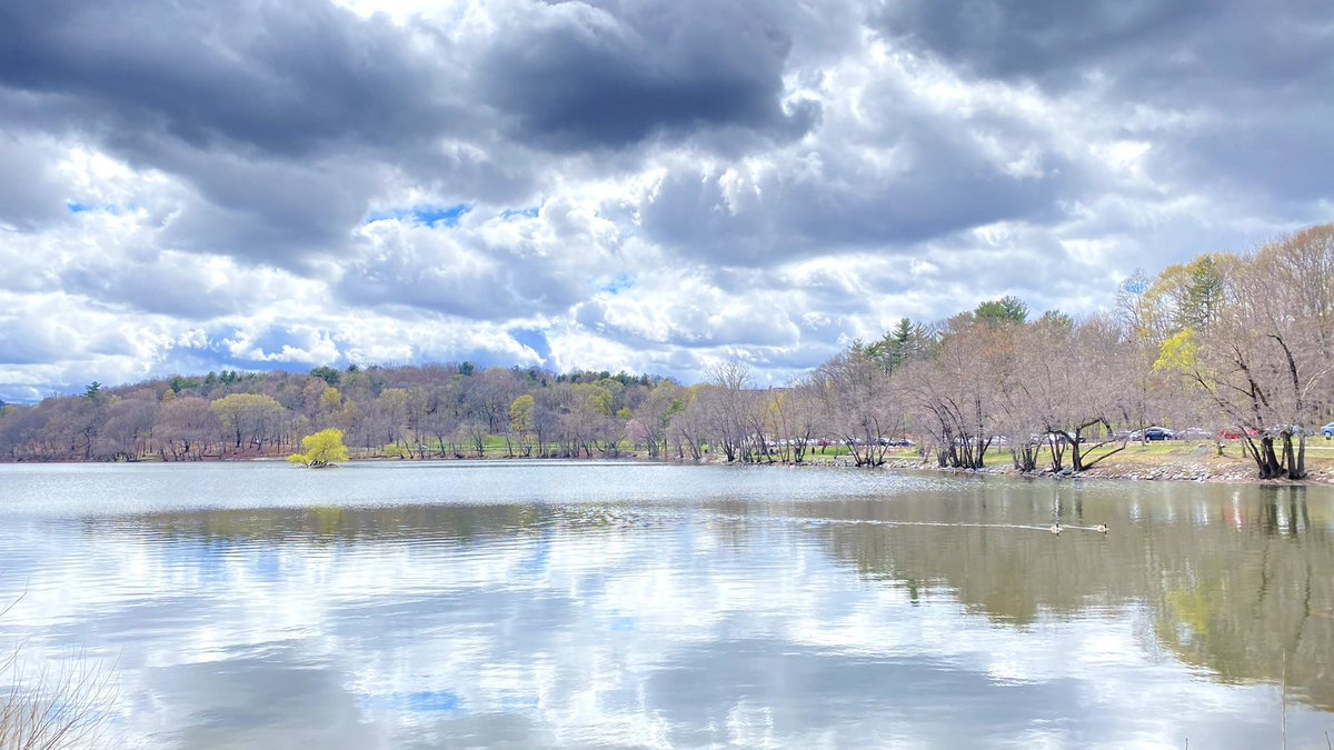 Arezoo Jafari (@jafariarezoo) on Twitter photo #NatureBeauty 
#naturelovers 
#mentalhealth #NatureBeauty 
#naturelovers 
#mentalhealth
