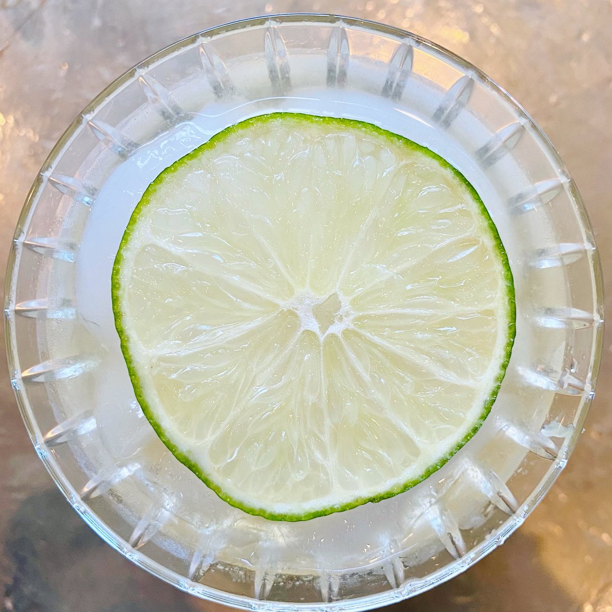 6degreetequila's tweet photo. ✨happy cinco de mayo✨
.
#CincodeMayo2021 #6degreetequila 21+ #5deMayo https://t.co/6QSG75CvDg