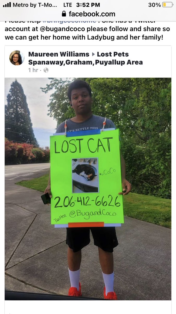 BugandCoco's tweet photo. My family misses me!
#BringCoCoHome
#CatsOfTwitter
#bugandcoco
#cocoandbug https://t.co/D7etjLzvGD