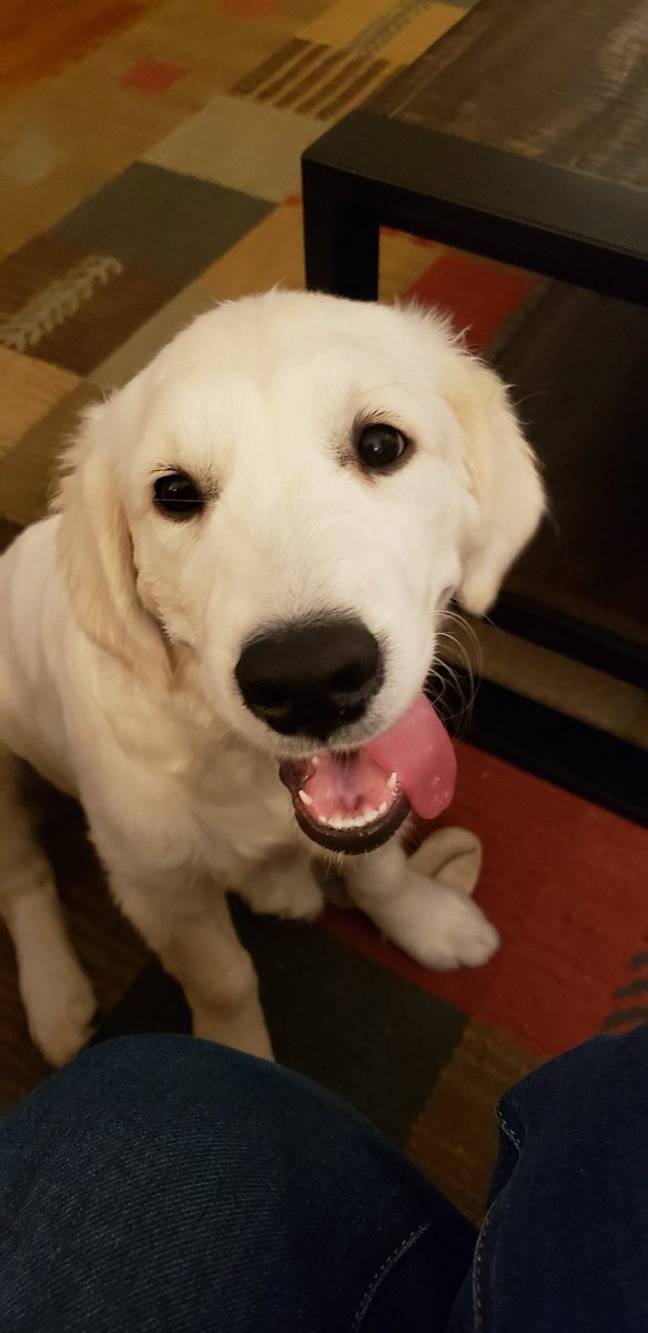 Love comes in many forms.....today this is mine ❤