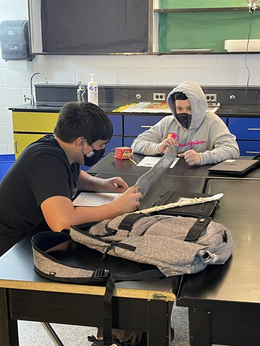 RPMscience's tweet image. Ss exploring waves today using slinkies! So many of them wanted to go buy slinkies after school 😂. Today was fun 🤩 @IMSEagles