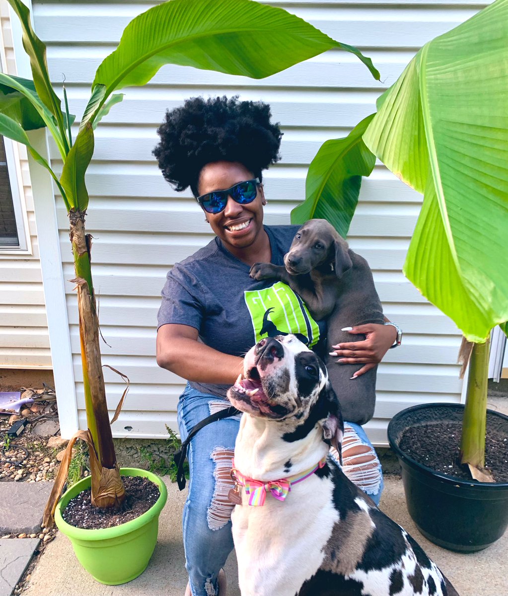 TAGMsRackston's tweet image. #empoweredteacher relaxing with my pups in #OurCascade (@APSTAGAcademy ) with my  @YouthEntre shades 😎 #TeacherAppreciationWeek