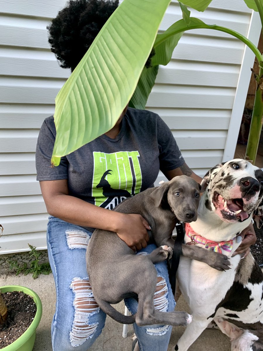 TAGMsRackston's tweet image. #empoweredteacher relaxing with my pups in #OurCascade (@APSTAGAcademy ) with my  @YouthEntre shades 😎 #TeacherAppreciationWeek