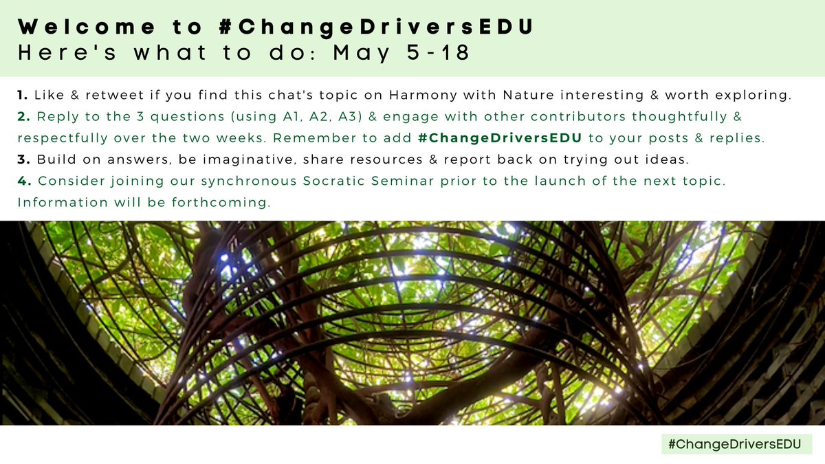 inspirecitizen1's tweet photo. #ChangeDriversEDU
Topic
Principles of Harmony w Nature
Welcome!
Introduce yourself :)
Here are:
The principles
Q 1-3
Reply w # & A1 A2 A3
Slow chat =
Take your time
Think & engage +
Be imaginative
Have fun
Learn
@watnunu @socialstudiestx @AguirreLearns @SDG2030 @SuleJacobs https://t.co/3d1QWdYB0P